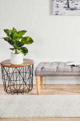 Evoke Diamond Grey Transitional Runner Rug