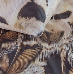 Giselle Natural Cotton Sateen Quilt Cover Sets by Bedding House