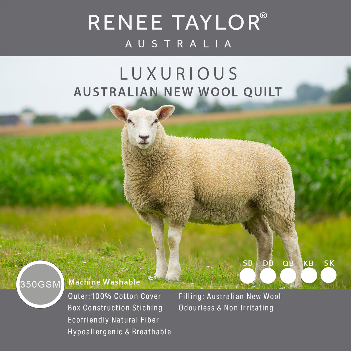 Luxurious Australian Wool Quilt 350 GSM by Renee Taylor