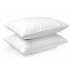 2 Piece Stand Pillows Cotton Cover