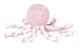 Lapidou Octopus - Pink White by Nattou