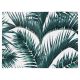 Placemat set of 4 Palm Fronds by Escape To Paradise