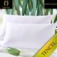 Sustainable and Soft Natural Comfort Tencel Pillow by Ramesses