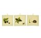 Wild Things 3 Piece Wall Hanging by Amani Bebe